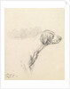 Study of a Hound, 1794 by George Morland