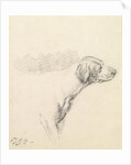 Study of a Hound, 1794 by George Morland