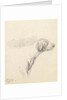 Study of a Hound, 1794 by George Morland
