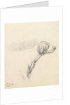 Study of a Hound, 1794 by George Morland