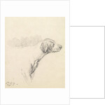 Study of a Hound, 1794 by George Morland