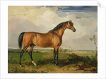 Eagle, a Celebrated Stallion by James Ward