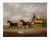 A Gentleman driving Tandem to a Jaunting Car by Edwin W. Cooper