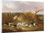 Beagles in Full Cry, 1845 by John Dalby