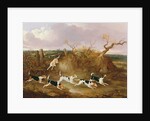 Beagles in Full Cry, 1845 by John Dalby