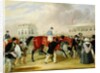 The Derby Pets: The Winner, 1842 by James Pollard