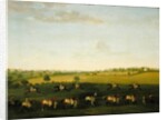 Sir Charles Warre Malet's String of Racehorses at Exercise by Francis Sartorius