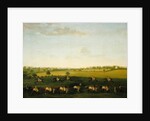 Sir Charles Warre Malet's String of Racehorses at Exercise by Francis Sartorius