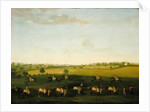 Sir Charles Warre Malet's String of Racehorses at Exercise by Francis Sartorius