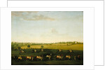Sir Charles Warre Malet's String of Racehorses at Exercise by Francis Sartorius