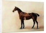 Study of a Saddled Bay Hunter, 1828 by John E. Ferneley
