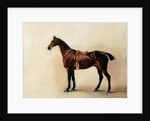Study of a Saddled Bay Hunter, 1828 by John E. Ferneley