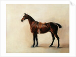 Study of a Saddled Bay Hunter, 1828 by John E. Ferneley