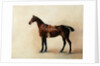 Study of a Saddled Bay Hunter, 1828 by John E. Ferneley