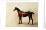 Study of a Saddled Bay Hunter, 1828 by John E. Ferneley