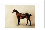 Study of a Saddled Bay Hunter, 1828 by John E. Ferneley