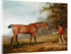 A Bay Horse Approached by a Stable-lad with Food and a Halter, 1789 by George Garrard
