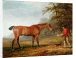 A Bay Horse Approached by a Stable-lad with Food and a Halter, 1789 by George Garrard
