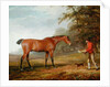 A Bay Horse Approached by a Stable-lad with Food and a Halter, 1789 by George Garrard