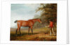 A Bay Horse Approached by a Stable-lad with Food and a Halter, 1789 by George Garrard