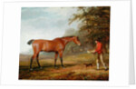 A Bay Horse Approached by a Stable-lad with Food and a Halter, 1789 by George Garrard