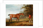 A Bay Horse Approached by a Stable-lad with Food and a Halter, 1789 by George Garrard