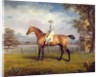 The Duke of Hamilton's Disguise with Jockey Up by George Garrard