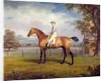 The Duke of Hamilton's Disguise with Jockey Up by George Garrard