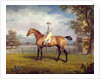 The Duke of Hamilton's Disguise with Jockey Up by George Garrard