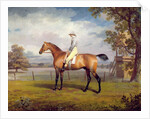 The Duke of Hamilton's Disguise with Jockey Up by George Garrard