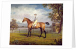 The Duke of Hamilton's Disguise with Jockey Up by George Garrard