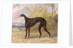 One of George Lane Fox's Winning Greyhounds: the Black and White Greyhound Bitch, Juno, also known as Elizabeth, 1822 by George Garrard