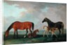 Mares and Foals by Sawrey Gilpin
