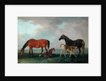 Mares and Foals by Sawrey Gilpin