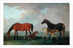 Mares and Foals by Sawrey Gilpin