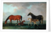 Mares and Foals by Sawrey Gilpin