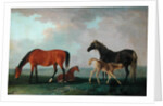 Mares and Foals by Sawrey Gilpin