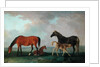 Mares and Foals by Sawrey Gilpin