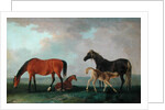 Mares and Foals by Sawrey Gilpin