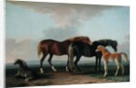 Mares and Foals by Sawrey Gilpin