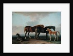 Mares and Foals by Sawrey Gilpin
