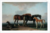Mares and Foals by Sawrey Gilpin