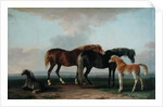 Mares and Foals by Sawrey Gilpin