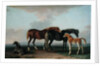 Mares and Foals by Sawrey Gilpin
