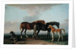 Mares and Foals by Sawrey Gilpin