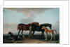 Mares and Foals by Sawrey Gilpin