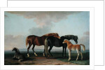 Mares and Foals by Sawrey Gilpin
