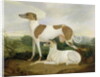 Two Greyhounds in a Landscape by Charles Hancock