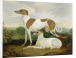 Two Greyhounds in a Landscape by Charles Hancock