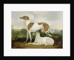 Two Greyhounds in a Landscape by Charles Hancock
